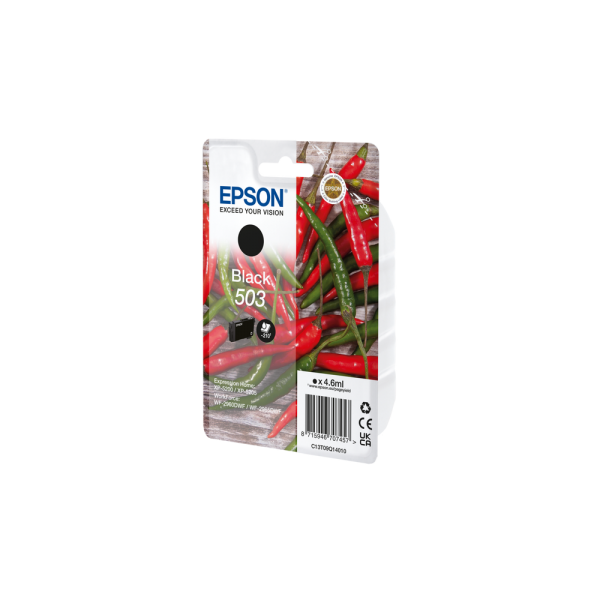 Epson 503 cartuccia d'inchiostro 1 pz Originale Resa standard Nero (SINGLEPACK BLACK 503 INK)EpsonC13T09Q14010