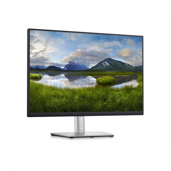 DELL P Series Monitor 24 : P2423 (P2423 - 61cm 24 - Warranty: 12M)DellP2423