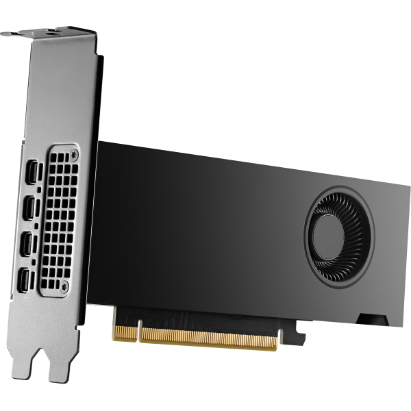 HP NVIDIA RTX PH x2xxx 4mDP Graphics (NVIDIA RTX - Scheda grafica - NVIDIA RTX 2000 Ada - 16 GB GDDR6 - 4 x Mini DisplayPort)Hp8D6B8AA