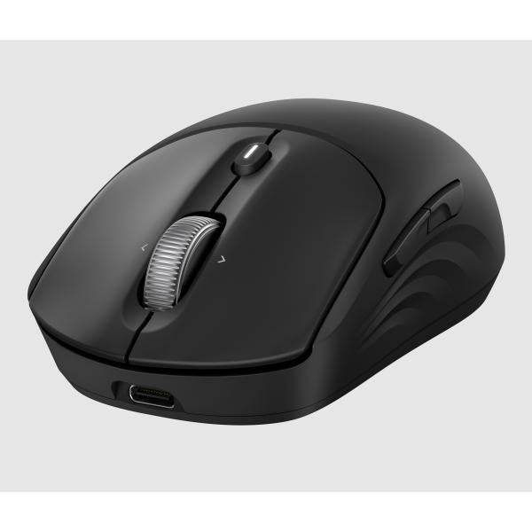 HP Mouse wireless ricaricabile 705 (705 Rechargeable Wireless - Emea Mouse - Warranty: 12M)HpAZ7B1AA#ABB