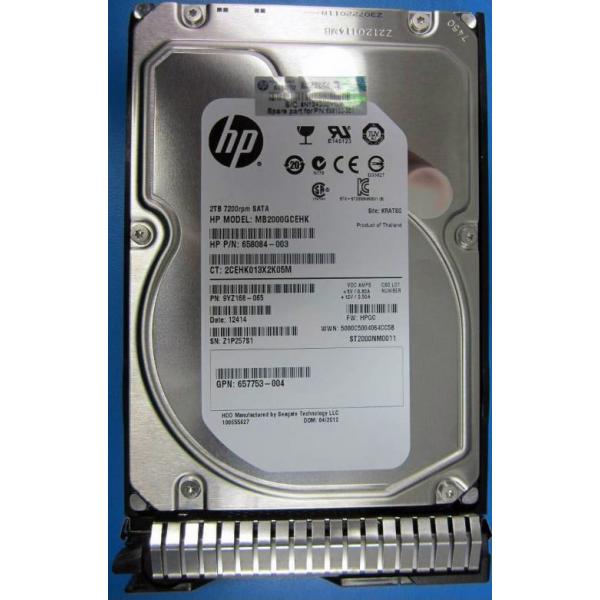 HPE 2TB hot-plug SATA HDD disco rigido interno 7200 Giri/min 3.5 (2TB 6G SATA 7.2k 3.5in SC MDL - 2TB hot-plug SATA HDD, 3.5, - 2000 GB, 7200 RPM - Warranty: 36M)Hpe658102-001