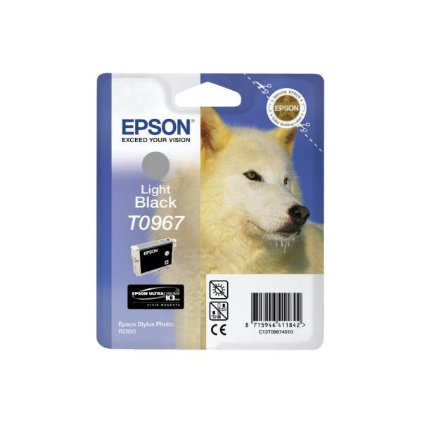 Epson Husky Cartuccia Nero light (T096 STYLUS R2880 LIGHT BLACK)EpsonC13T09674010