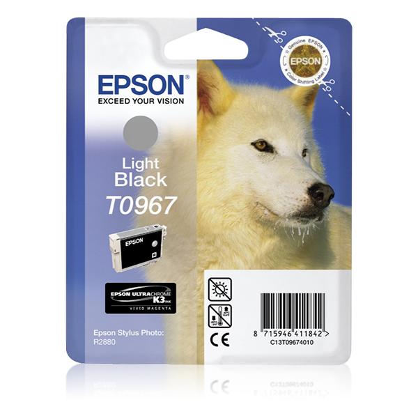 Epson Husky Cartuccia Nero light (T096 STYLUS R2880 LIGHT BLACK)EpsonC13T09674010