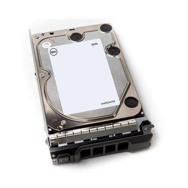 DELL 400-AEFB disco rigido interno 1 TB 7200 Giri/min 3.5 Serial ATA III (DELL HDD 1TB SAS 7.2K 3,5'' 6GB/S)Dell400-AEFB