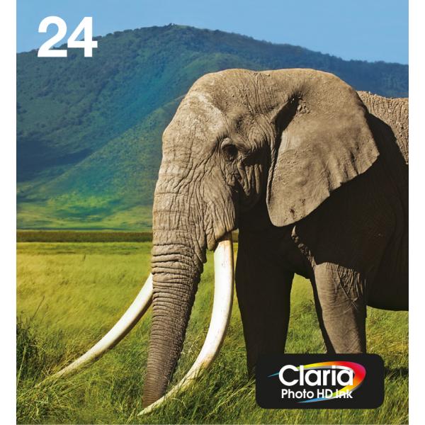 Epson Multipack 6 colori T24 Claria Photo HD in confezione Easy Mail Packaging (EPSON 24 6-COLOUR INK EASYMAIL, ELEPHANT)EpsonC13T24284510