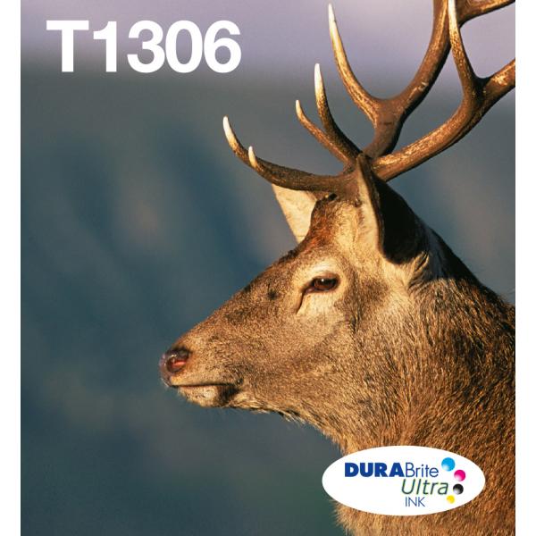 Epson Stag Multipack 3 colori T1306 DURABrite Ultra Ink in confezione Easy Mail Packaging (EPSON T130 3-COLOURS INK EASYMAIL, STAG)EpsonC13T13064510