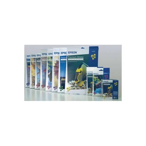Epson Premium Glossy Photo Paper - 10x15cm - 20 Fogli (Epson Premium - fotopapir - skinnende)EpsonC13S041706