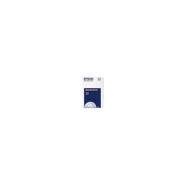Epson Premium Luster Photo Paper (PREM LUSTRE PHO PAP-A3P 100S 250)EpsonC13S041785