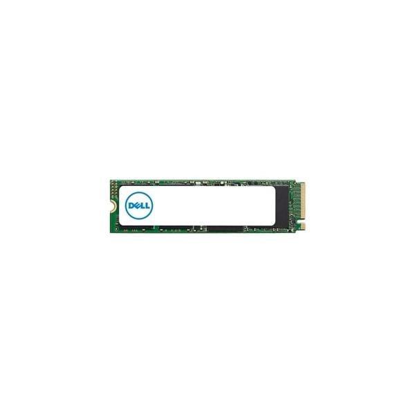 DELL SNP112P/256G drives allo stato solido 256 GB M.2 PCI Express NVMe (M.2 PCIe NVME Class 40 2280 - AA615519, 256 GB, M.2 - Warranty: 12M)DellSNP112P/256G