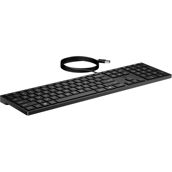 HP Tastiera Wired Desktop 320K (Wired Desktop 320K Keyboard)Hp9SR37AA