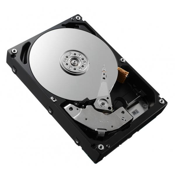 DELL DPTW9 disco rigido interno 3 TB 7200 Giri/min 3.5 SAS (HD 3T NL6 7.2K 3.5 WD-VER E/C - DPTW9, 3.5, 3000 GB, 7200 RPM - Warranty: 6M)Dell5711783341048DPTW9