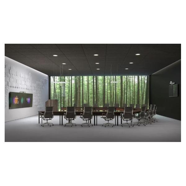 Cisco Webex Room Kit Plus PTZ 4K sistema di conferenza Collegamento ethernet LAN Sistema di videoconferenza di gruppo (Room Kit Plus PTZ 4K Codec Plus PTZ 4K Camera and Navigtor)Cisco0889728426701CS-KITPLPTZ4K-K9