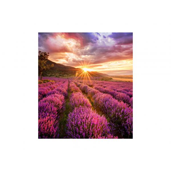 Samsung IF015H-E LED Interno (SAMSUNG LED - IF-E 1.5MM CABINETS)Samsung8801643316549LH015IFHBAS/EN