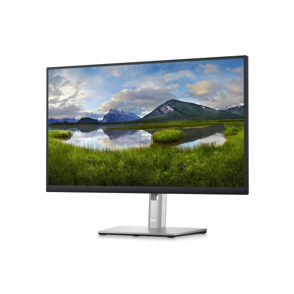 DELL P Series Monitor 24 Hub USB-C - P2423DE (DELL P Series P2423DE 60.5 cm 23.8 2560 x 1440 pixels Quad HD LCD Silver)DellDELL-P2423DE
