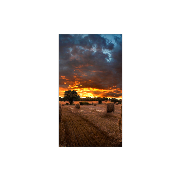 Samsung VM46B-U LCD Interno (VM46B-U 46IN FHD 500CD 24/7 2 - B2B 3.5MM)SamsungLH46VMBUBGBXEN