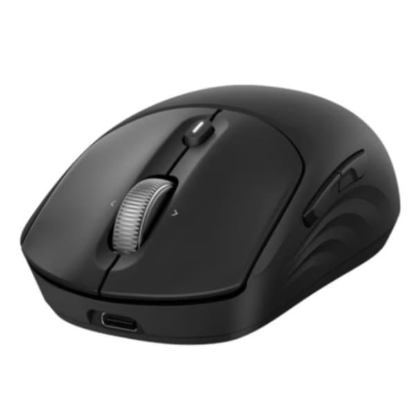 HP Mouse wireless ricaricabile 705 (705 Rechargeable Wireless - Emea Mouse - Warranty: 12M)HpAZ7B1AA#ABB