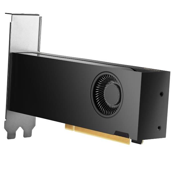HP NVIDIA RTX PH x2xxx 4mDP Graphics (NVIDIA RTX Pro 2000 16GB PCI-e 5x16 Quad Head 16GB GDDR7 /4xDP 2,1/70Watt)Hp0198990076775B5CH7AA