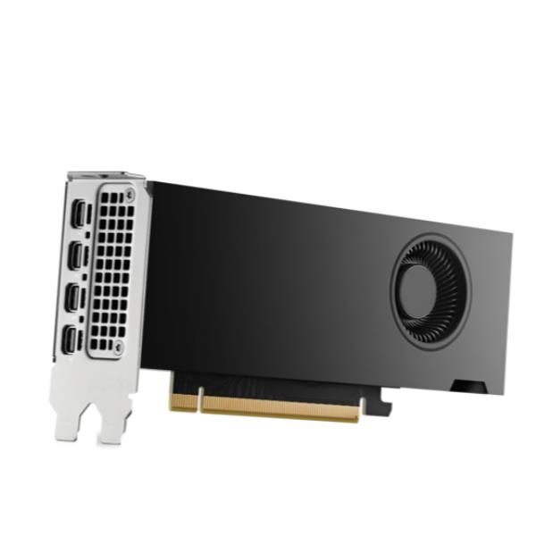 HP NVIDIA RTX PH x2xxx 4mDP Graphics (NVIDIA RTX Pro 2000 16GB PCI-e 5x16 Quad Head 16GB GDDR7 /4xDP 2,1/70Watt)Hp0198990076775B5CH7AA