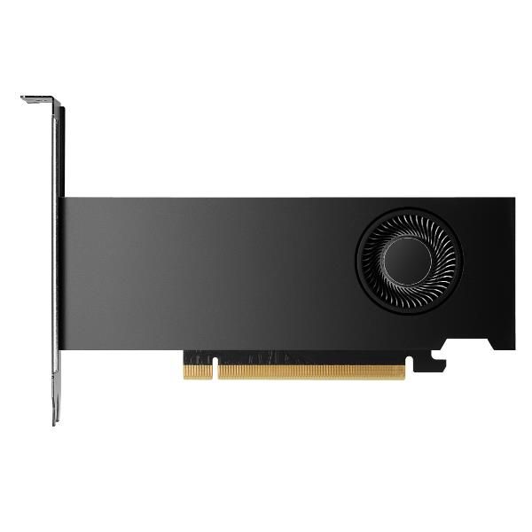 HP NVIDIA RTX PH x2xxx 4mDP Graphics (NVIDIA RTX Pro 2000 16GB PCI-e 5x16 Quad Head 16GB GDDR7 /4xDP 2,1/70Watt)Hp0198990076775B5CH7AA