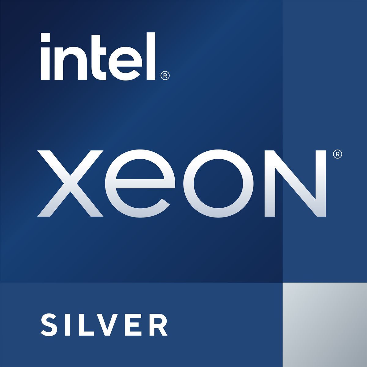 DELL Xeon Silver 4410Y processore 2 GHz 30 MB (Intel Xeon Silver 4410Y - 2 GHz - 12-core - 24 thread - 30 MB cache - per PowerEdge R660, R660xs, R760, R760xs, T560)Dell338-CLWC
