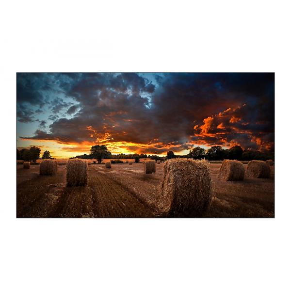 VM55B-U DISPLAY PER VIDEOWALL 55IN 500CD/M2 24/7