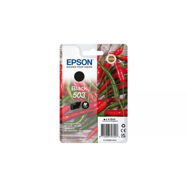 Epson 503 cartuccia d'inchiostro 1 pz Originale Resa standard Nero (SINGLEPACK BLACK 503 INK)EpsonC13T09Q14010