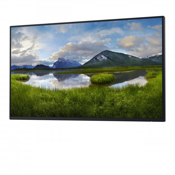 DELL Pro Plus P2725H_WOST Monitor PC 68,6 cm [27] 1920 x 1080 Pixel Full HD LCD Nero (Dell P2725H - Without stand - LED monitor - 27 - 1920 x 1080 Full HD [1080p] @ 100 Hz - IPS - 300 cd/m - 1500:1 - 5 ms - HDMI, VGA, DisplayPort - BTO - with 3 years...