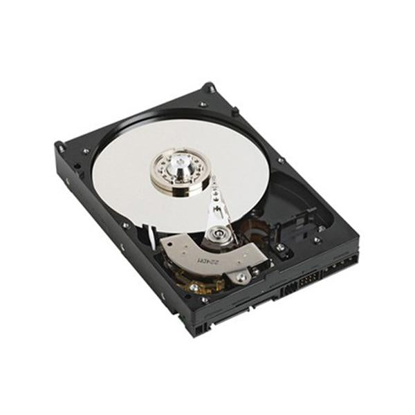 DELL 1TB 3.5 SATA disco rigido interno 7200 Giri/min 3.5 (1TB SATA 7,2K 3,5 Inch HDD - 1TB 3.5 SATA, 3.5, 1000 GB, - 7200 RPM - Warranty: 6M)DellG377T