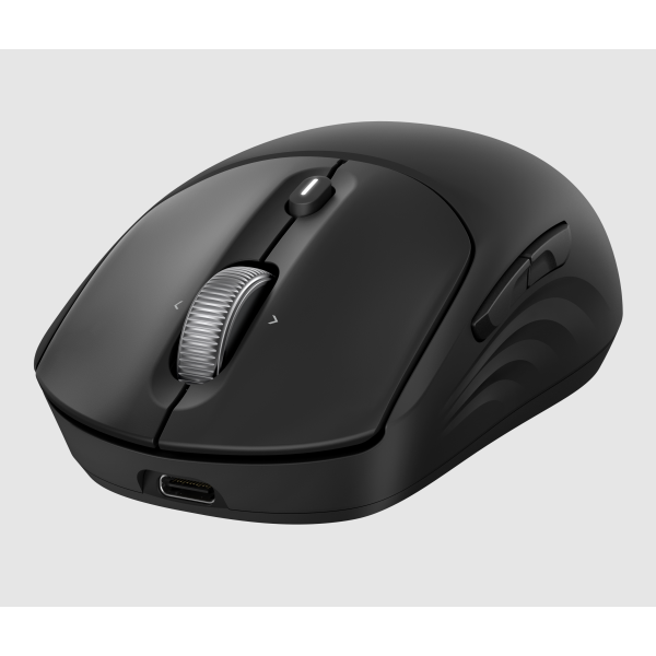 HP Mouse wireless ricaricabile 700 (HP 700 RECHBL WRLS MSE EURO)Hp0198701895107AZ7B0AA#ABB