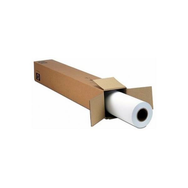 Epson Premium SemiGloss Photo Paper[170], in rotoli da 152, 4cm x 30, 5m (Epson Premium Semigloss Photo Paper [1)EpsonC13S042137