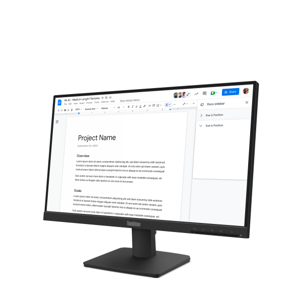 Lenovo ThinkVision S22-4e Monitor (Lenovo ThinkVision S22-4e 21.5 FHD Monitor)Lenovo019815843953464CBKAT6UK