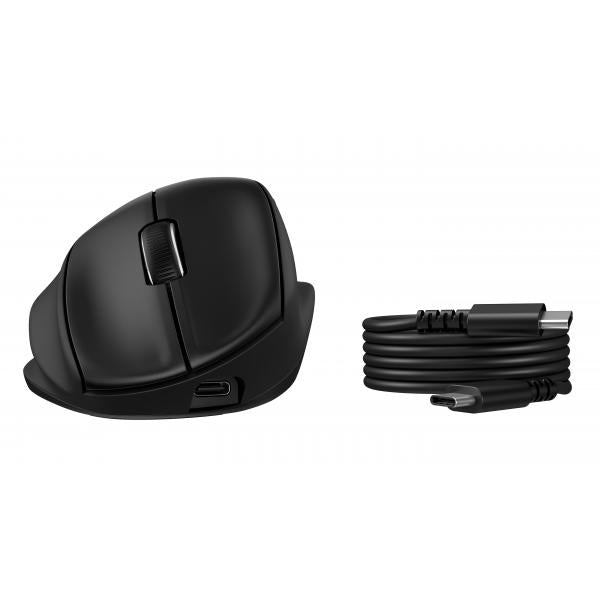 HP Mouse ergonomico Tilt 725M (Tilt Ergonomic 725M Tilt - Ergonomic 725M Euro Mouse - Warranty: 12M)HpBH0Z5AA