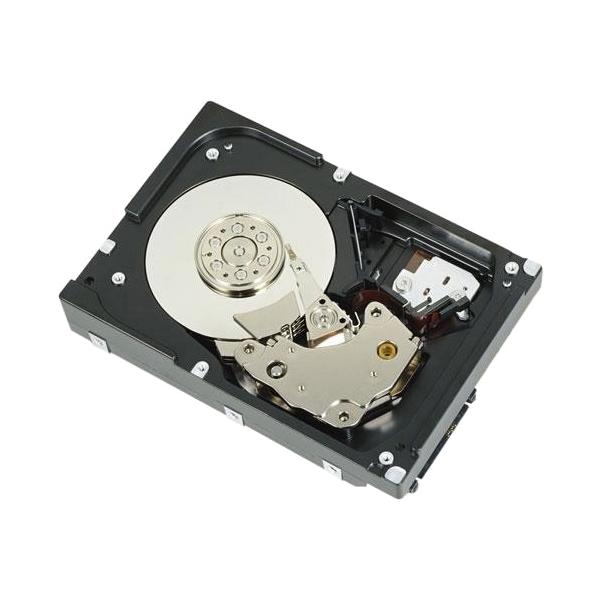 DELL 67TMT disco rigido interno 2 TB 7200 Giri/min 3.5 SAS (HD,2T,NL6,7.2K,3.5,S-MSKP,E/C - 67TMT, 3.5, 2000 GB, 7200 RPM - Warranty: 6M)Dell67TMT
