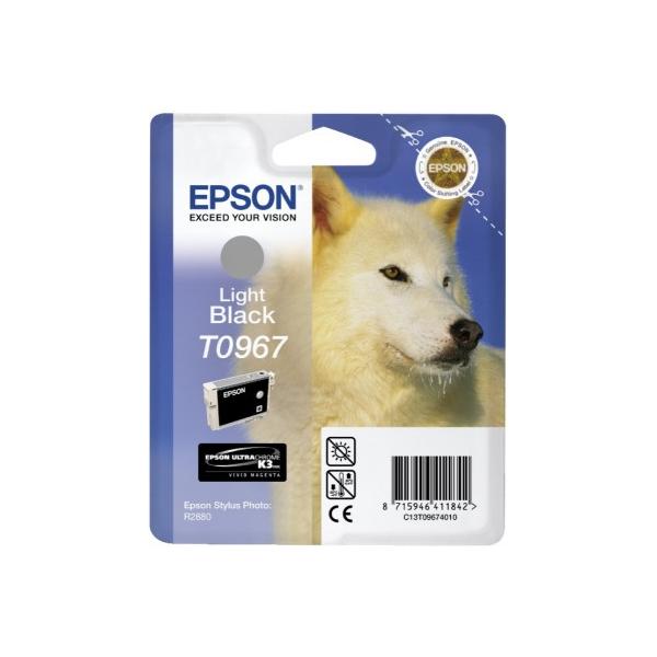 Epson Husky Cartuccia Nero light (T096 STYLUS R2880 LIGHT BLACK)EpsonC13T09674010