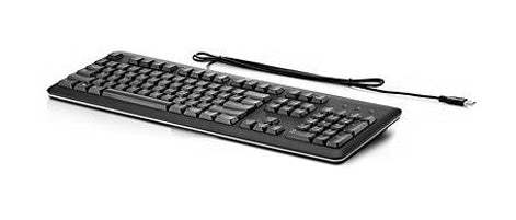 HP USB Standard Keyboard tastiera Olandese (HP STANDARD KEYBOARD USB) - Versione UKHpDT528A