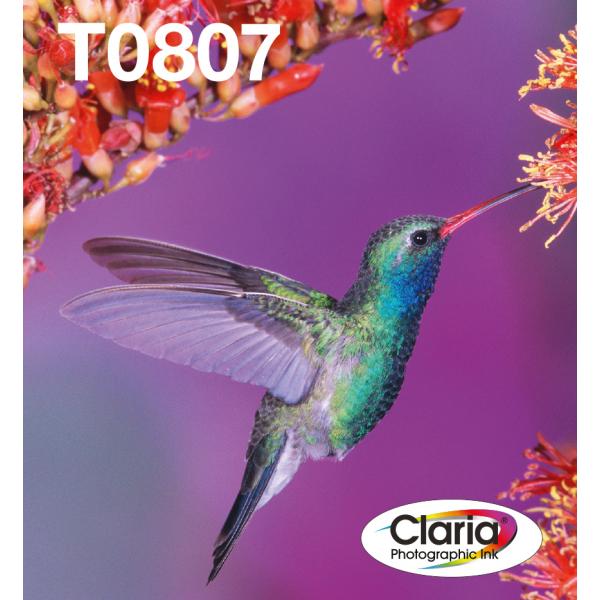 Epson Hummingbird Multipack 6 colori T0807 Claria Photographic Ink in confezione EasyMail Packaging (EPSON T0807 MULTIPACK EASY ML STYLUS PHOTO R265 EASYMAIL)EpsonC13T08074510