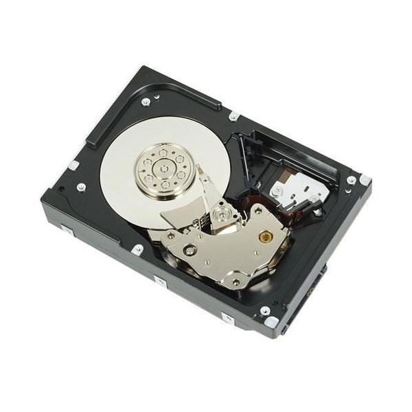 DELL 529FG disco rigido interno 4 TB 7200 Giri/min 3.5 SAS (HD, 4TB, 512b, NL-SAS6, 7.2K - RPM, 3.5 inch, 128MB, - Seagate, Megalodon, [Enterprise Class] 529FG, 3.5, 4000 GB, 7200 RPM - Warranty: 6M)Dell529FG