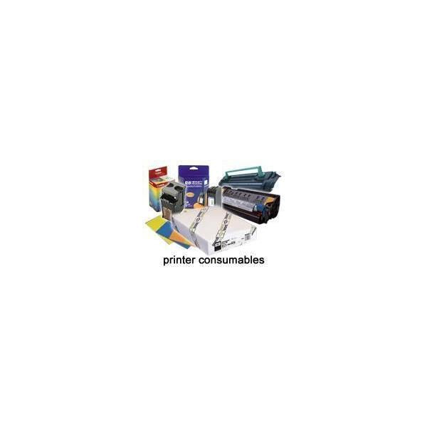 Epson Carta fotografica lucida Premium [250], in rotoli da 60, 96cm [24''] x 30, 5m. (PREM GLOSSY PHO PAPER-24IN 30 5M 260)EpsonC13S041638