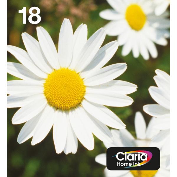 Epson Daisy Multipack Margherita 4 colori Inchiostri Claria Home 18 in confezione EasyMail Packaging (EPSON T1806 MULTIPACK EASY ML 4 COLOUR CLARIA EASYMAIL)EpsonC13T18064511