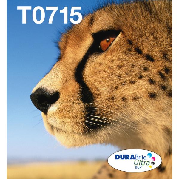 Epson Multipack 4-colours T071 EasyMail (EPSON T0715 MULTIPACK EASYMAIL)Epson8715946638812C13T07154511