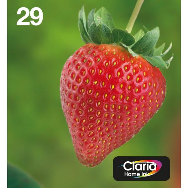 Epson Strawberry Multipack Fragole 4 colori Inchiostri Claria Home 29 in confezione EasyMail Packaging (Epson 29 EasyMail Bk/C/M/Y Ink EASYMAIL STRAWBERRY)Epson8715946638874C13T29864511