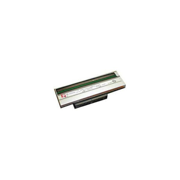 Zebra P1004236 testina stampante Trasferimento termico (PRINTHEAD 203DPI 170XI4 ZE500-6 - .)ZebraP1004236