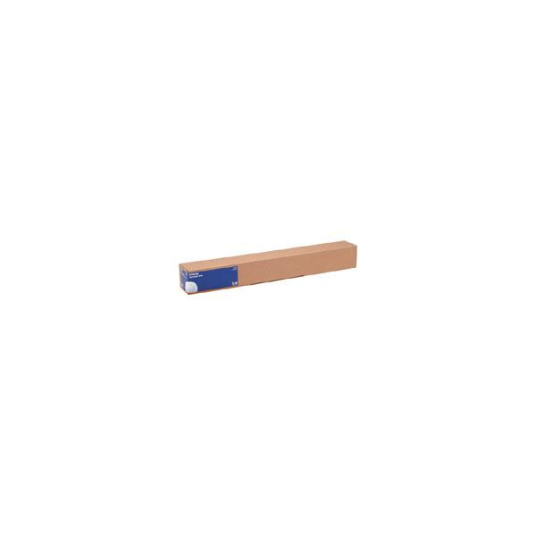 Epson Photo Paper Gloss[250], in rotoli da 60, 96cm [24''] x 30, 5m (24 x 30.5m Photo Paper Gloss [250])EpsonC13S041893
