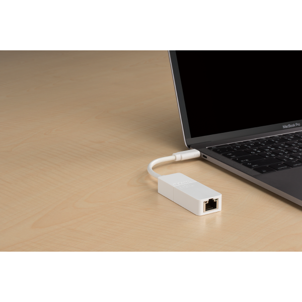 D-Link DUB-E130 scheda di rete e adattatore Ethernet 1000 Mbit/s (USB-C GIGABIT ETHERNET ADAPTER - ADAPTER)D-linkDUB-E130