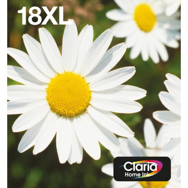 Epson Daisy Multipack Margherita 4 colori Inchiostri Claria Home 18XL in confezione EasyMail Packaging (EPSON EASYMAIL 18XL MULTIPACK 4-COLOURS INK)Epson8715946656687C13T18164511