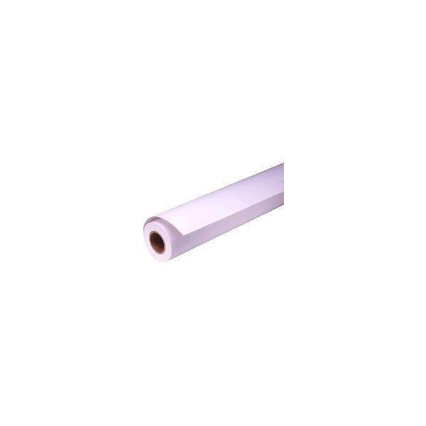 Epson Proofing Paper White Semimatte, in rotoli da111,8cm [44''] x 30, 48 m [44 x 100']. (PROOF PAP W SEMIMATTE-44IN 30 5M 256)EpsonC13S042006