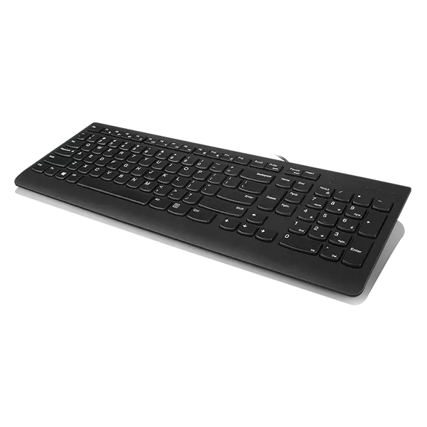 Lenovo 300 tastiera Universale USB QWERTY Inglese US Nero (300 Keyboard Usb Qwerty - English Black - Warranty: 12M)LenovoGX30M39655