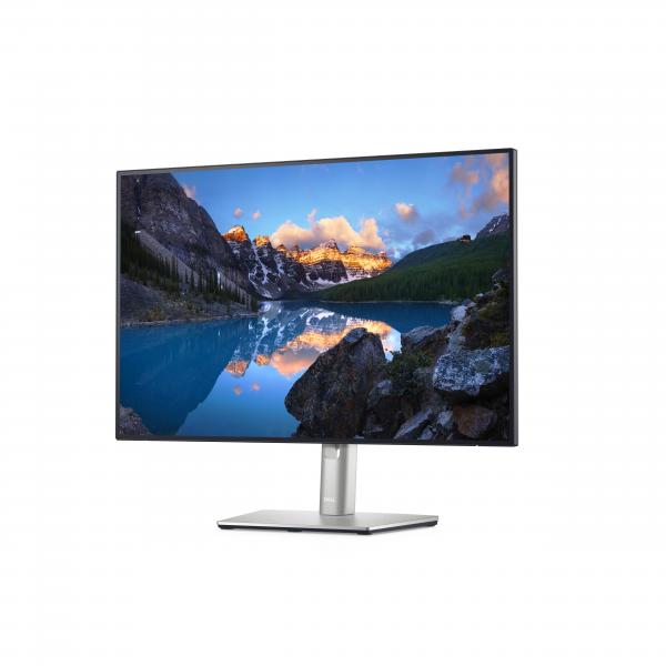 DELL UltraSharp U2421E Monitor PC 61,2 cm [24.1] 1920 x 1200 Pixel WUXGA LCD Argento (UltraSharp U2421E 61.2 cm - [24.1] 1920 x 1200 pixels - WUXGA LCD Black, Silver UltraSharp U2421E, 61.2 cm [24.1], 1920 x 1200 pixels, - Warranty: 12M)DellDELL-U2421E