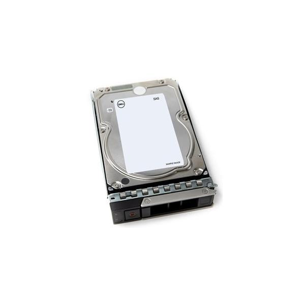 DELL 400-BLEW disco rigido interno 4 TB 7000 Giri/min 3.5 NL-SAS (400-BLEW internal hard drive - 3.5 4000 GB NL-SAS 400-BLEW, - 3.5, 4000 GB, 7000 RPM - Warranty: 12M)Dell400-BLEW
