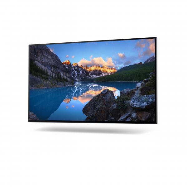 DELL UltraSharp U2422H_WOST LED display 61 cm [24] 1920 x 1080 Pixel Full HD LCD Argento (Dell UltraSharp U2422H - WLED 24 IPS)Dell5397184504987DELL-U2422HWOS